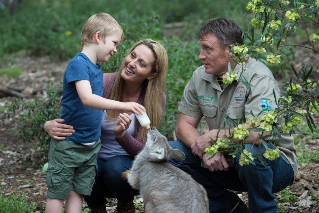 Tamworth Marsupial Park