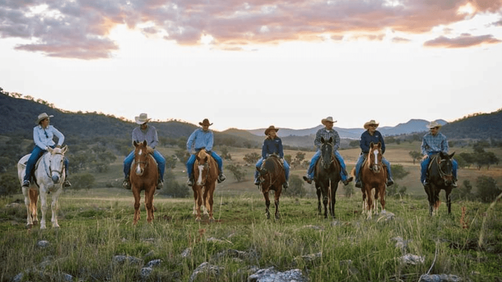 Tamworth and Kootingal Horse Riding Adventures, 7 pople riding horses through the countryside at dusk.