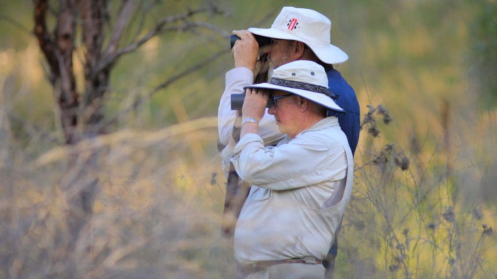 Two birdwatchers looking for birds through binoculars in the Tamworth region