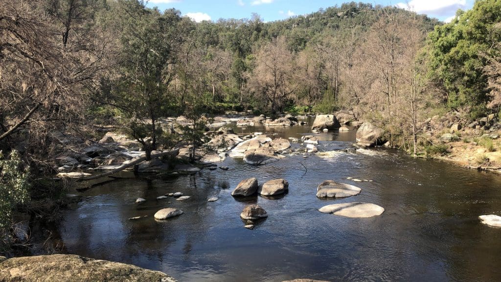 Warrabah National Park Tamworth region